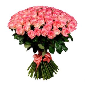 Rozen jumilia