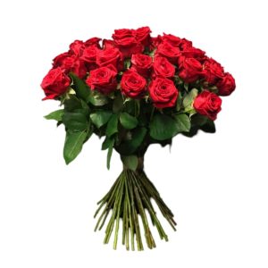 Rozen rood 3