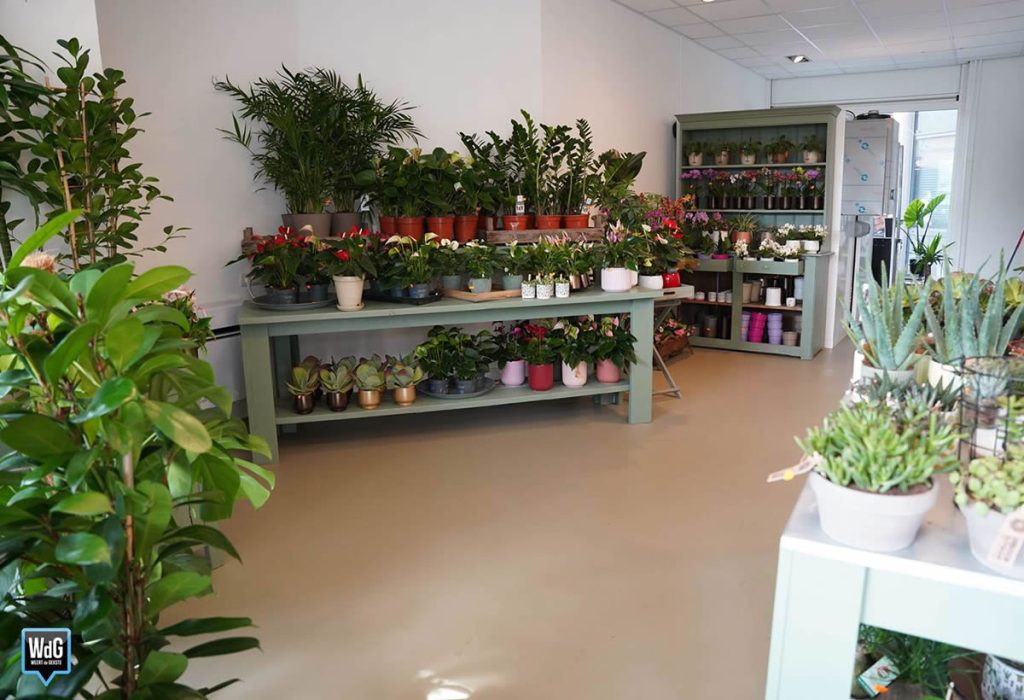 Bloemen Weert Station