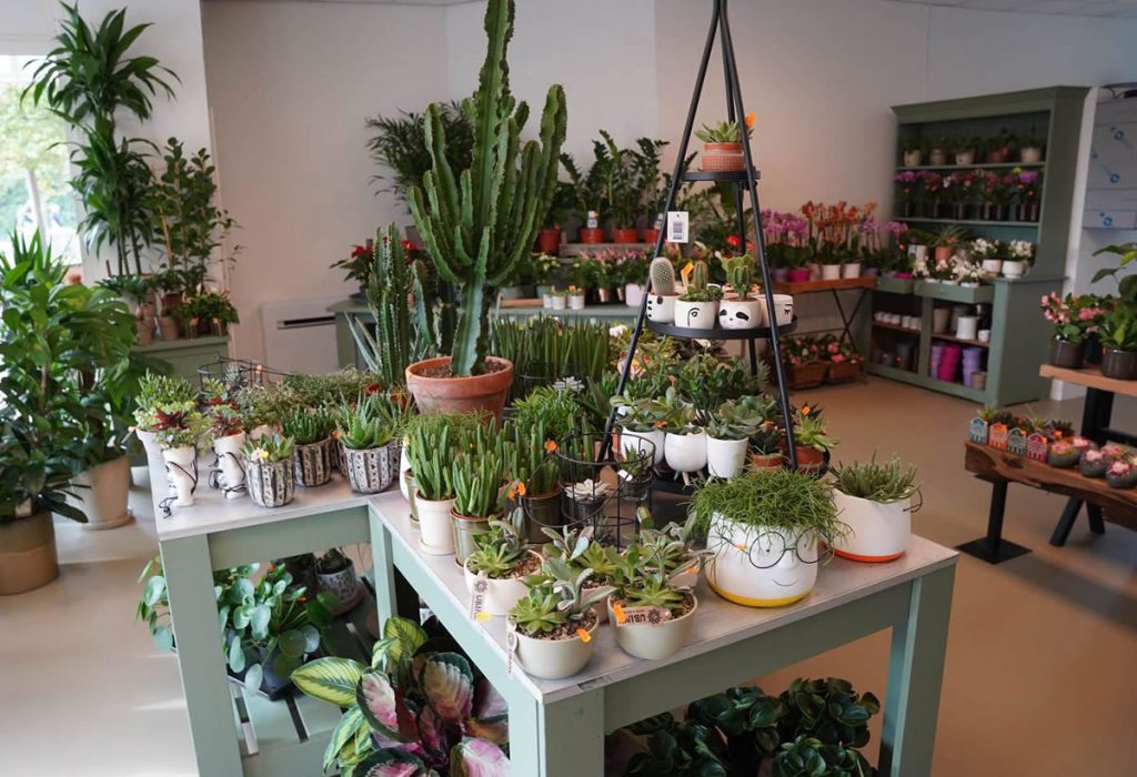 Bloemist weert